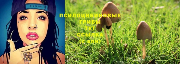 гашик Лихославль