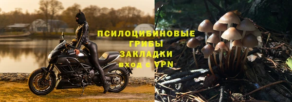 гашик Лихославль
