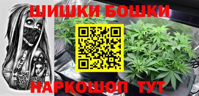 мяу мяу мука Аргун