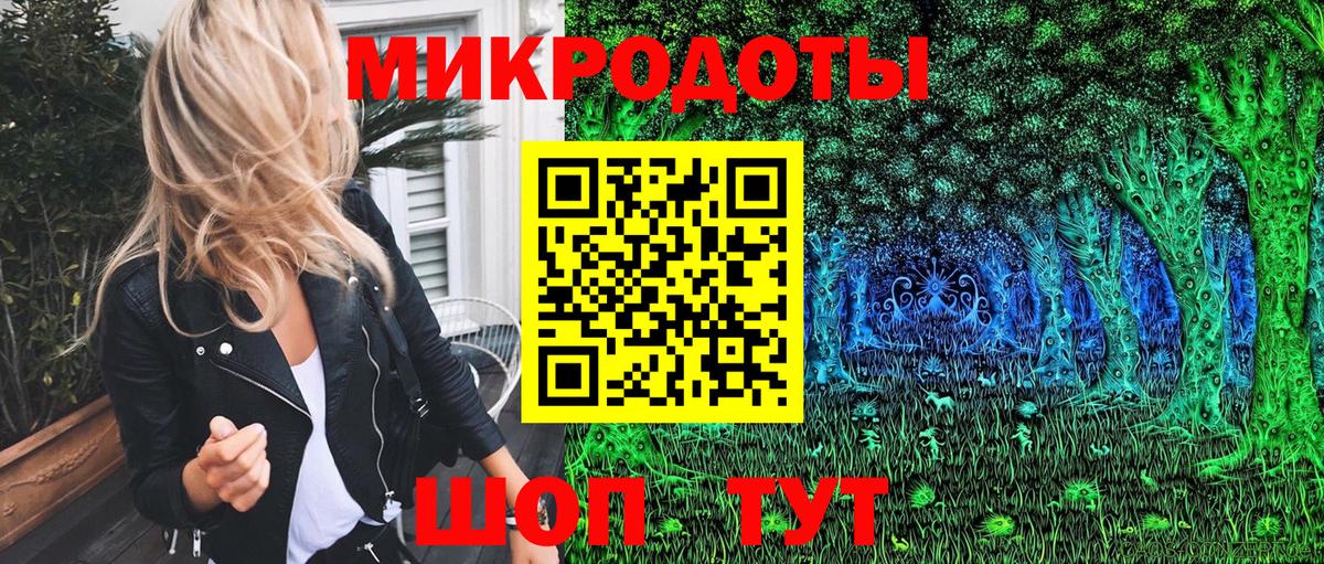 Псилоцибиновые грибы Cubensis Знаменск