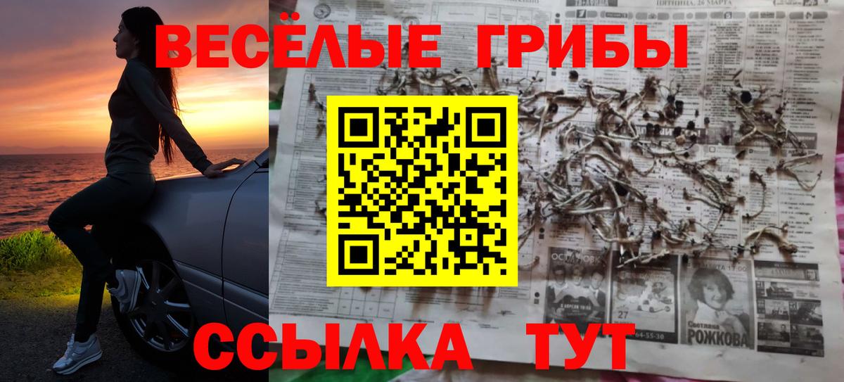 Галлюциногенные грибы мухоморы  Вход с VPN  Знаменск 