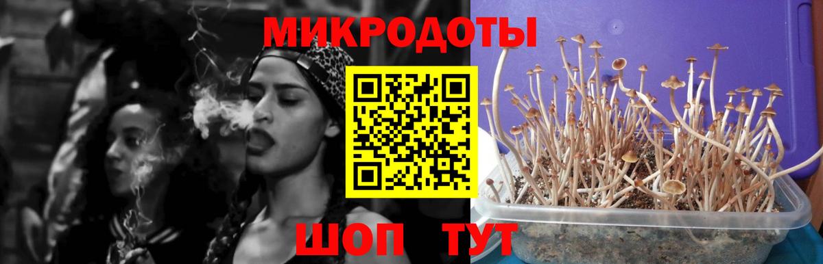Галлюциногенные грибы прущие грибы Знаменск